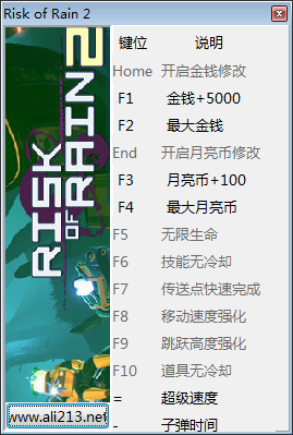 雨中冒險2萬能修改器