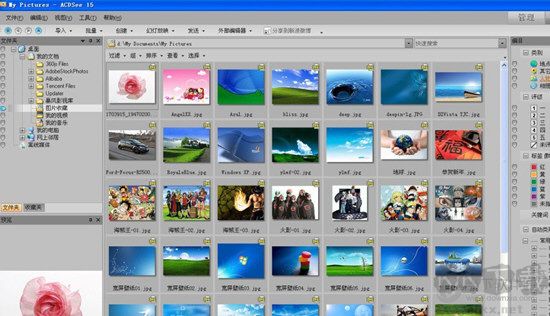 ACDSee5.0簡(jiǎn)體中文版截圖
