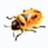 Firebug(火狐瀏覽器網(wǎng)頁(yè)調(diào)試工具) v3.3.0 中文版