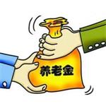 退休養(yǎng)老金計(jì)算器(簡(jiǎn)單實(shí)用) 