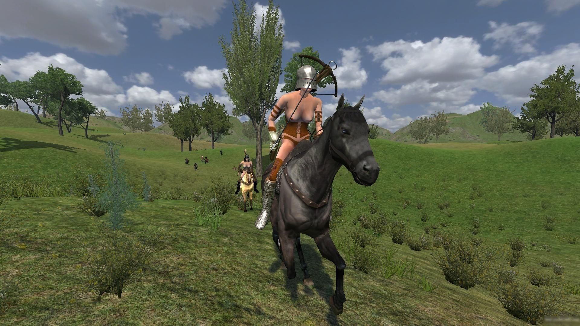 騎馬與砍殺戰(zhàn)團(tuán)破解補(bǔ)丁