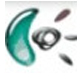 羅技 Logitech G29 方向盤游戲外設(shè)驅(qū)動程序 v8.85.85 官方最新版