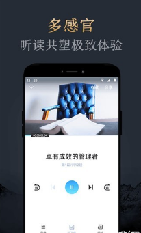 妙讀(高效閱讀)