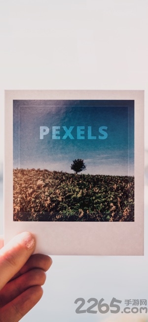 Pexels手機(jī)版
