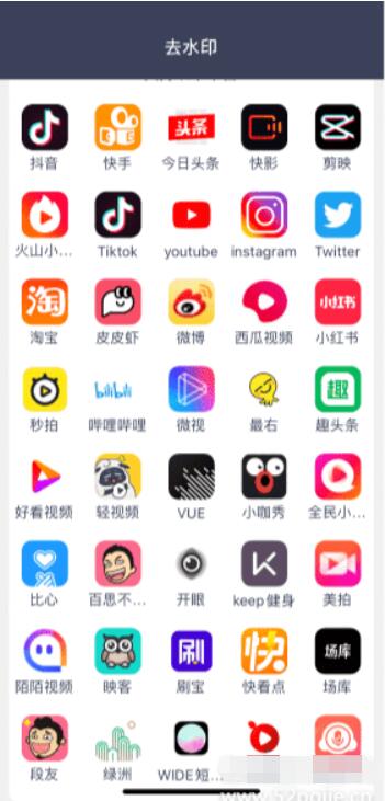 視頻去水印大師