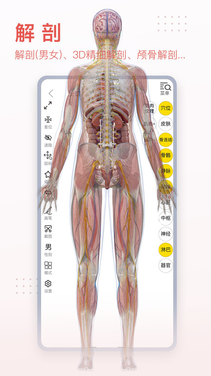 3dbody人體解剖學(xué)app免費(fèi)版 3dbody解剖圖手機(jī)版下載