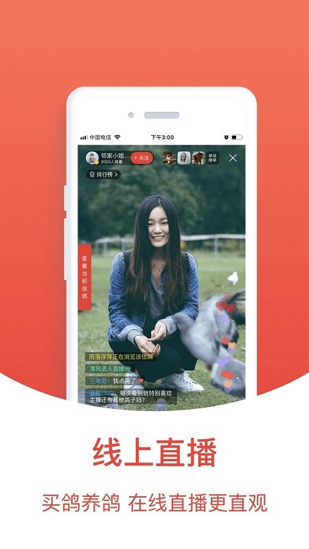 賽鴿頭條(搜鴿天下)