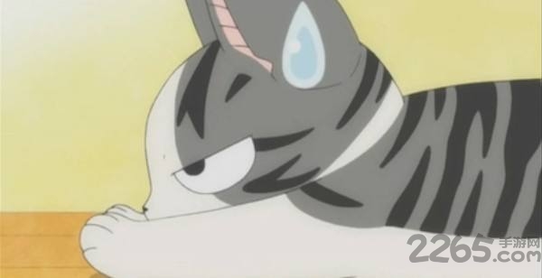 起司貓表情包軟件下載