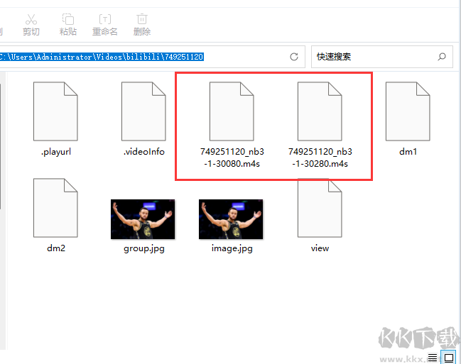 嗶哩嗶哩電腦版怎么下載視頻？電腦版嗶哩嗶哩怎么下載視頻【教程詳解】