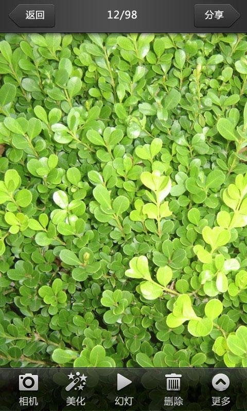 美圖看看(萬能看圖)