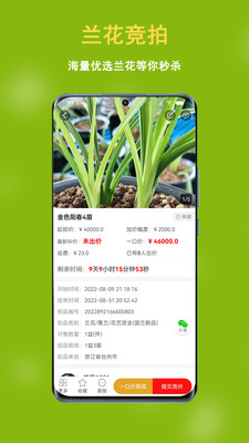 中國蘭花交易網(wǎng)