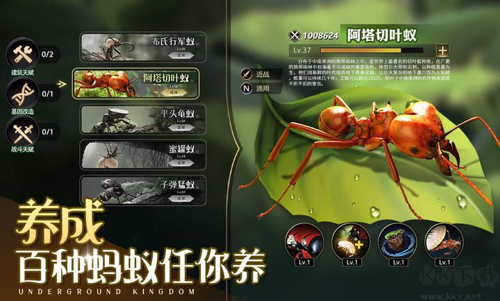 小小蟻國無限資源內(nèi)購破解版