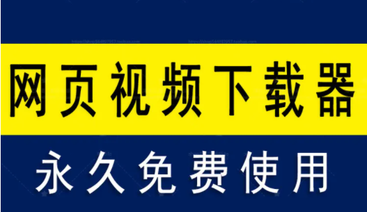 網(wǎng)頁視頻下載器_萬能視頻下載器_視頻下載軟件電腦版大全