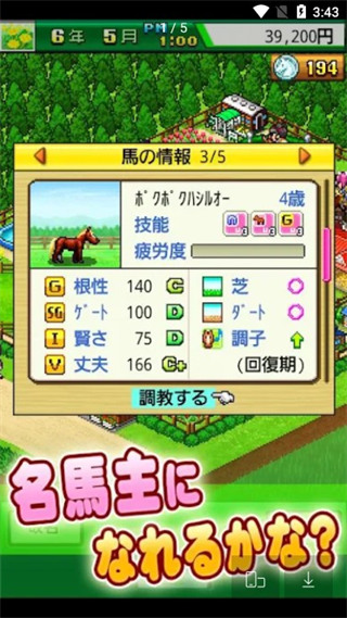 頂級跑馬牧場漢化破解版