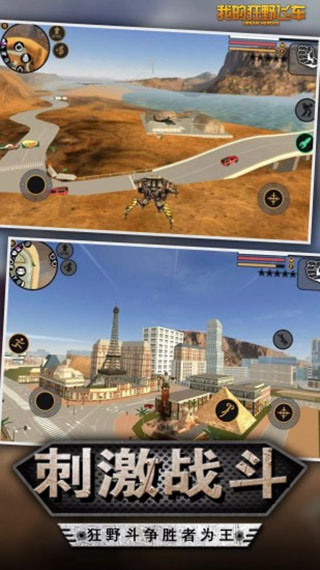 我的狂野飛車(chē)