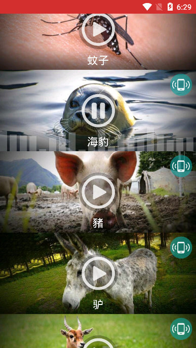 動(dòng)物手機(jī)鈴聲純凈版