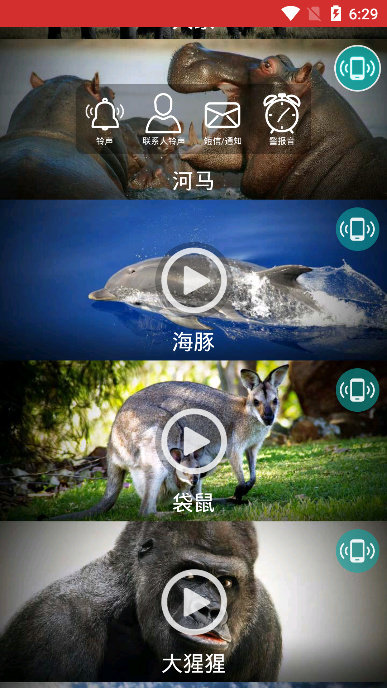 動(dòng)物手機(jī)鈴聲純凈版