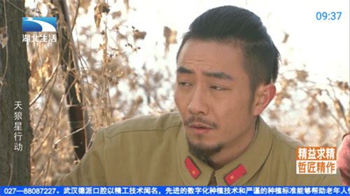 神鳥電視純凈版