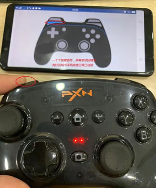 小雞模擬器安卓版