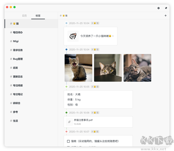 FocusNote專(zhuān)注筆記中文綠色免安裝特別版