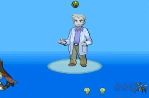 口袋妖怪激進(jìn)紅金手指版