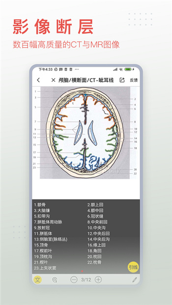 3Dbody解剖解鎖會(huì)員版