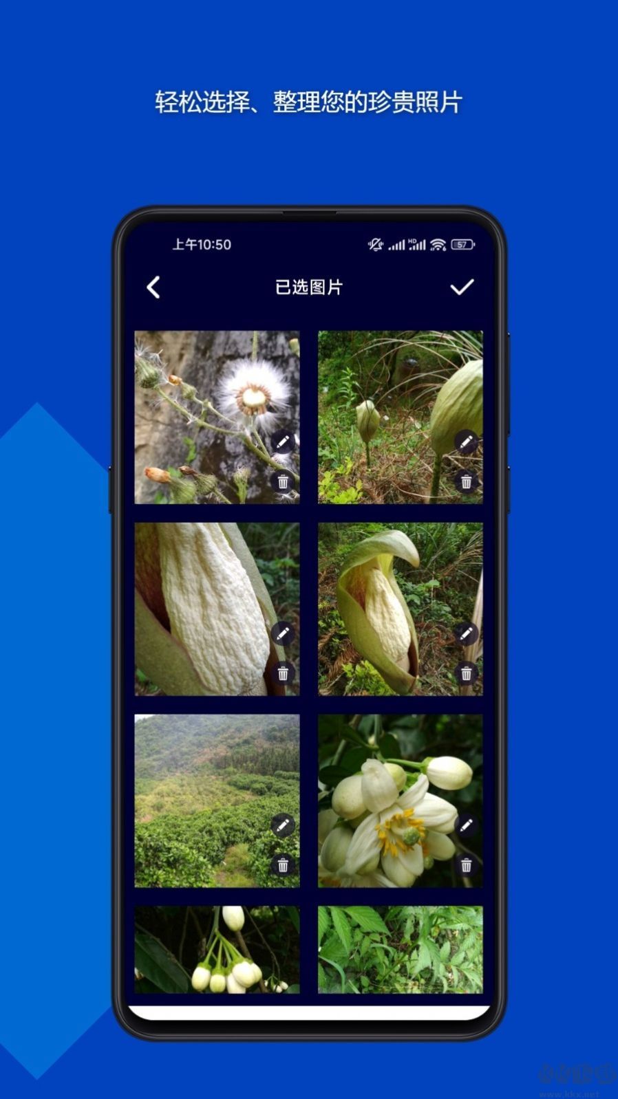 魔法音樂相冊app2023官方最新版