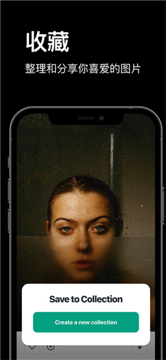 pexels(精美素材)官網(wǎng)版2023最新