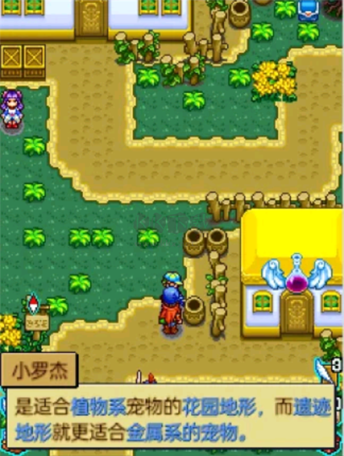 寵物王國4白金安卓漢化版