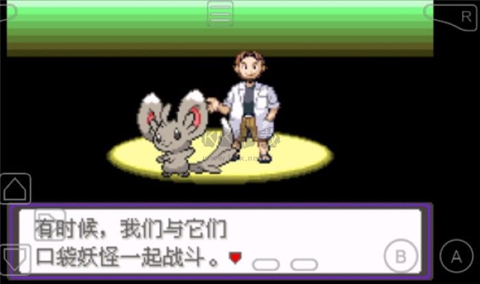 口袋妖怪漆黑的魅影9.0安卓版