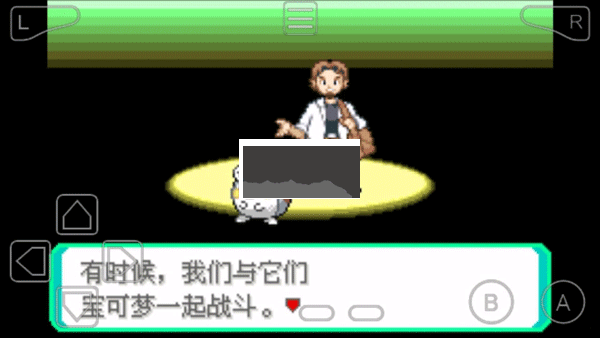 口袋妖怪究極綠寶石5.5金手指版