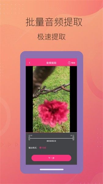 智能音頻提取器破解版