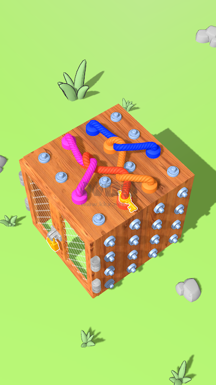 繩索拼圖箱子漢化版