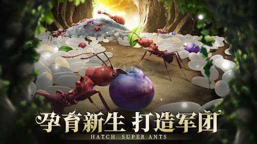 小小蟻國破解版無限鉆石版