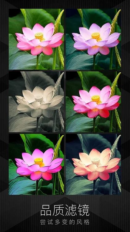 MIX濾鏡大師app官網(wǎng)免費最新版