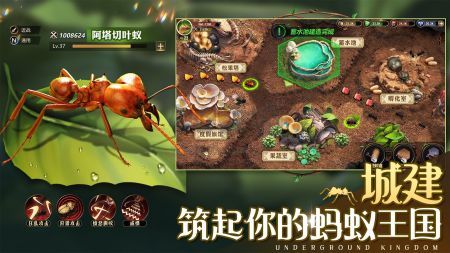 小小蟻國(guó)手游安卓版
