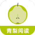 青梨閱讀追書(shū)神器 v1.1