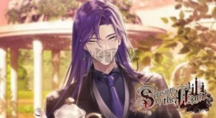 暗影的仆人安卓漢化版