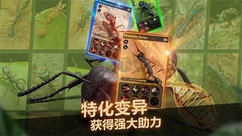 小小蟻國臺灣版