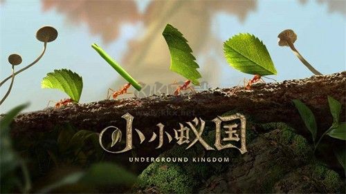 小小蟻國臺灣版