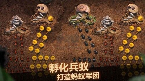 小小蟻國臺灣版