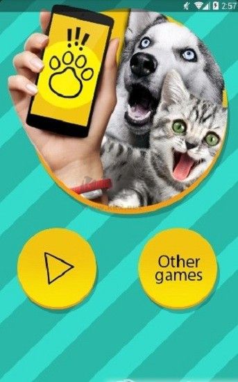 狗語翻譯器中文版