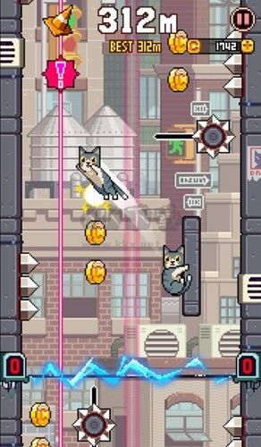 貓?zhí)平獍?>
                                <span id=