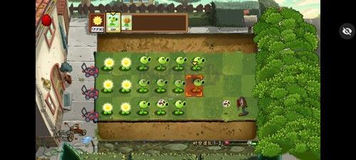 植物大戰(zhàn)僵尸內(nèi)置作弊菜單版