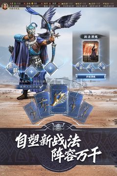 三國志·戰(zhàn)略版(禮包碼)