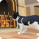 小貓歷險(xiǎn)記-喵星 v188.1安卓版