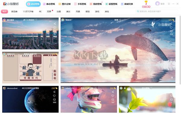 小鳥(niǎo)壁紙正版