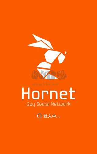 Hornet(聊天軟件)