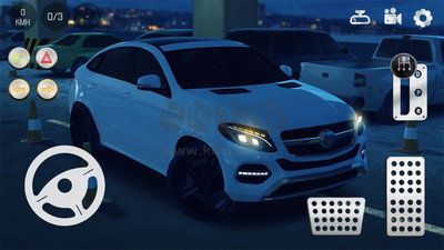 真實(shí)泊車(chē)2內(nèi)置菜單版