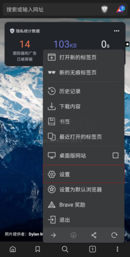 brave瀏覽器官方版如何設(shè)置全新主頁圖片2
